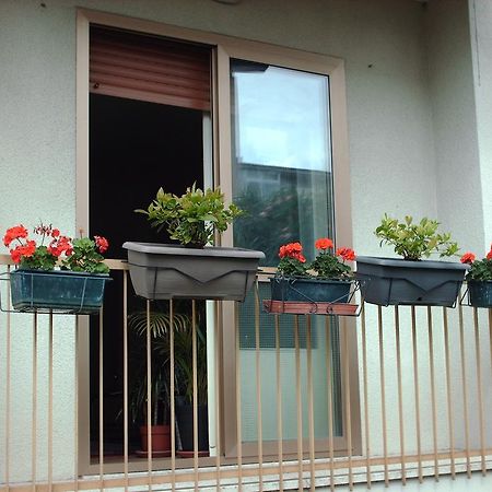 Guest House Cuore Del Friuli Udine Buitenkant foto