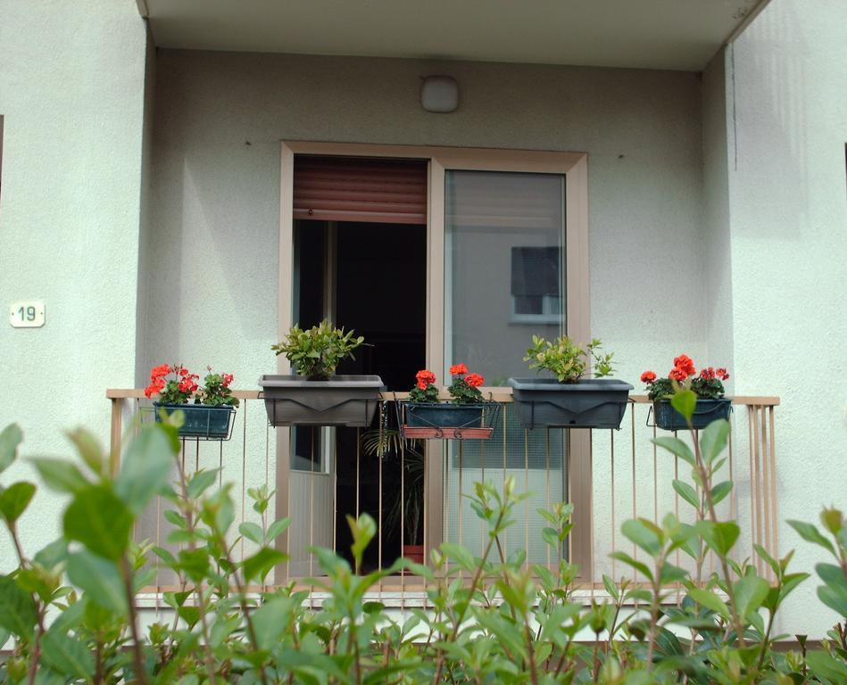 Guest House Cuore Del Friuli Udine Buitenkant foto
